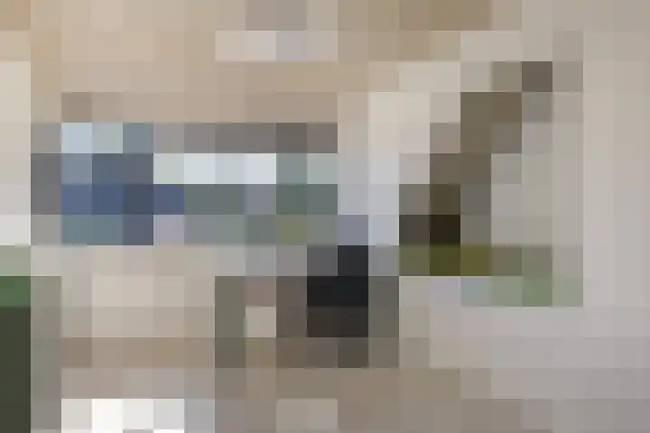 Bergdijk 7 Asten thumbnail 30