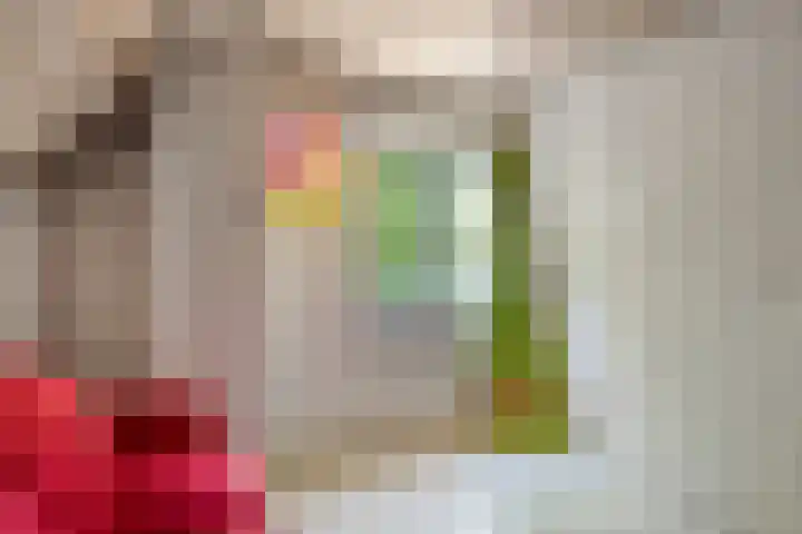 Bergdijk 7 Asten thumbnail 32