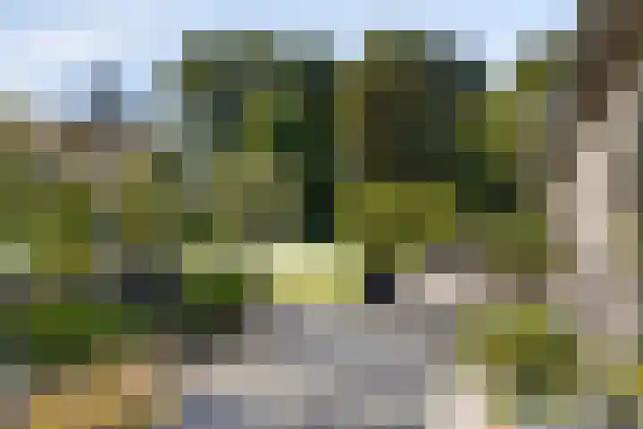 Bergdijk 7 Asten thumbnail 38
