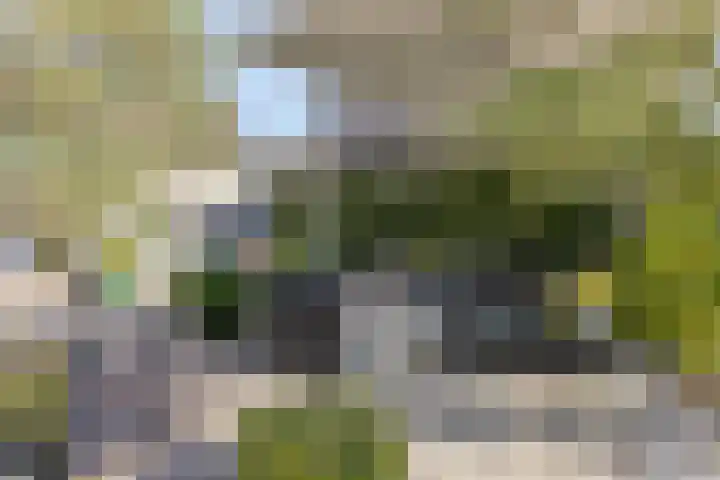 Bergdijk 7 Asten thumbnail 41