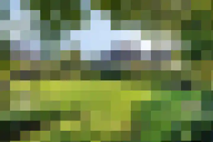Bergdijk 7 Asten thumbnail 43