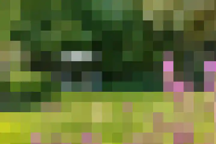 Bergdijk 7 Asten thumbnail 44