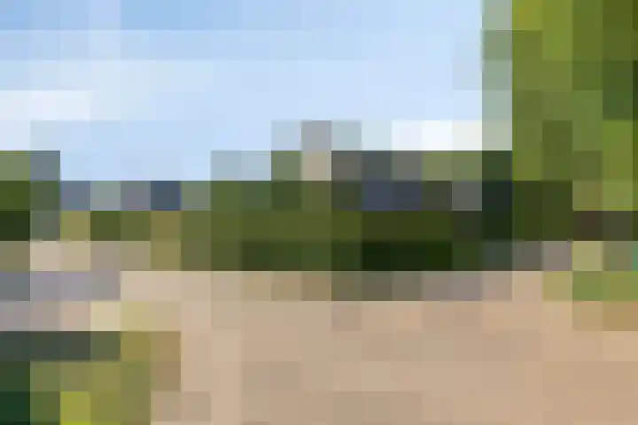 Bergdijk 7 Asten thumbnail 46