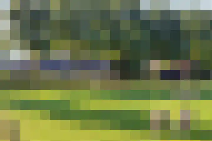 Bergdijk 7 Asten thumbnail 47