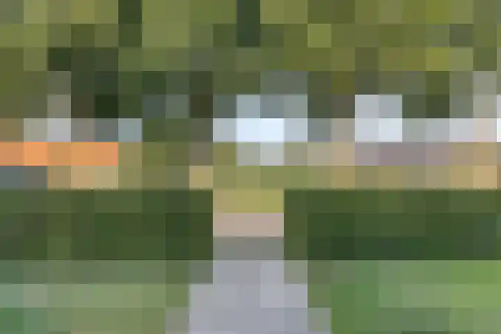 Bergdijk 7 Asten thumbnail 49