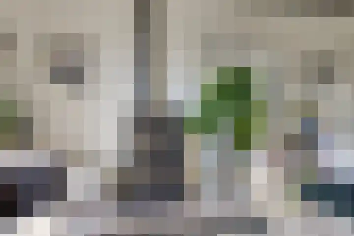 Bergdijk 7 Asten thumbnail 7