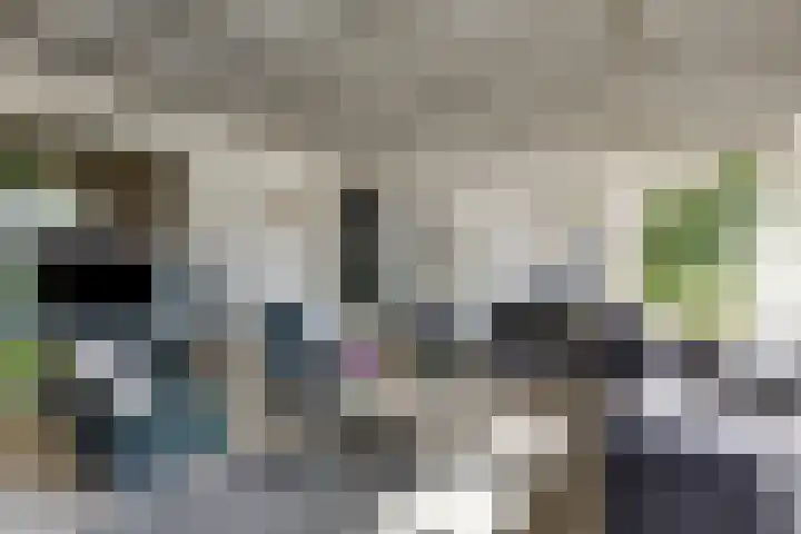 Bergdijk 7 Asten thumbnail 8