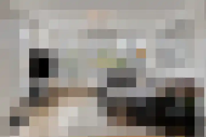 Bergdreef 68 Breda thumbnail 22