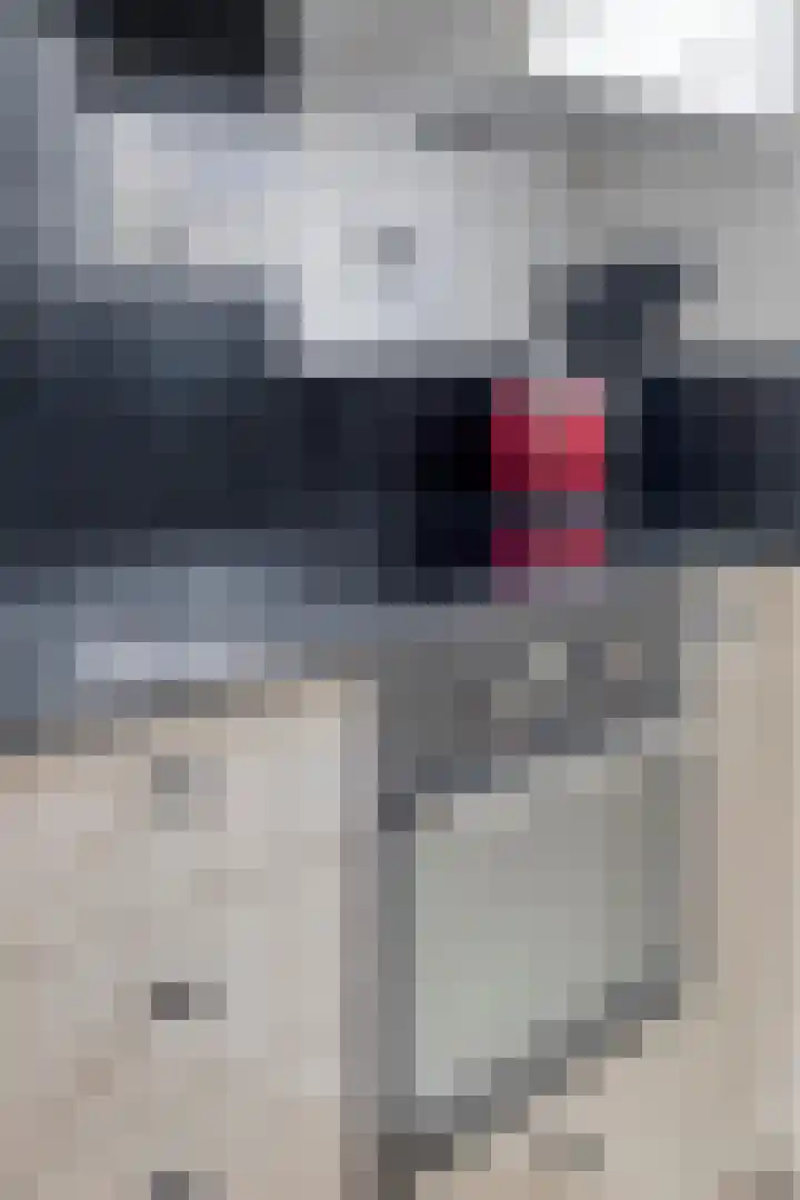 Bergdreef 68 Breda thumbnail 28