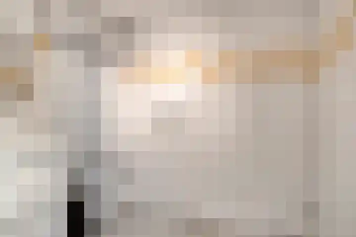 Bergdreef 68 Breda thumbnail 32