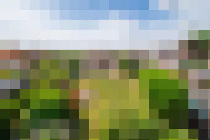 Bergdreef 68 Breda thumbnail 40