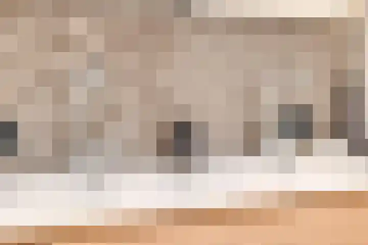 Bergdreef 68 Breda thumbnail 44