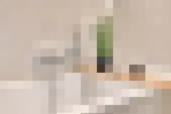 Bergdreef 68 Breda thumbnail 45
