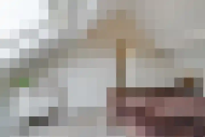 Bergdreef 83 Breda thumbnail 33