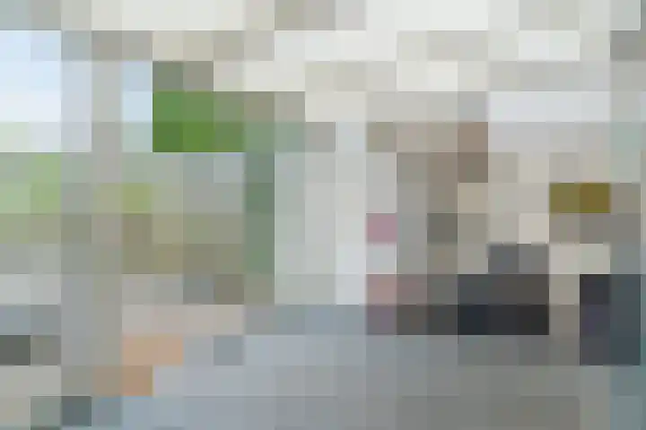 Bergdreef 83 Breda thumbnail 36