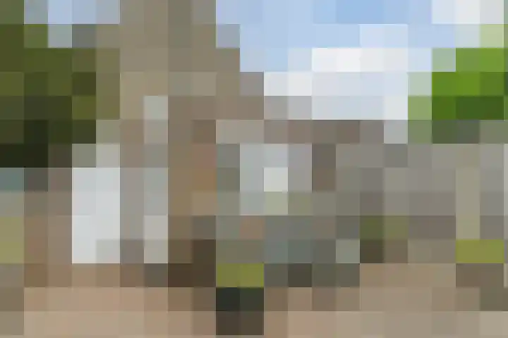 Bergdreef 83 Breda thumbnail 39