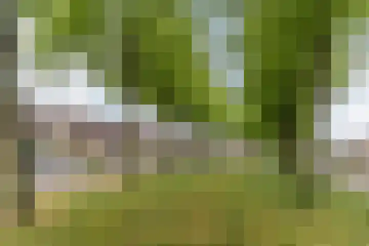 Bergdreef 83 Breda thumbnail 44