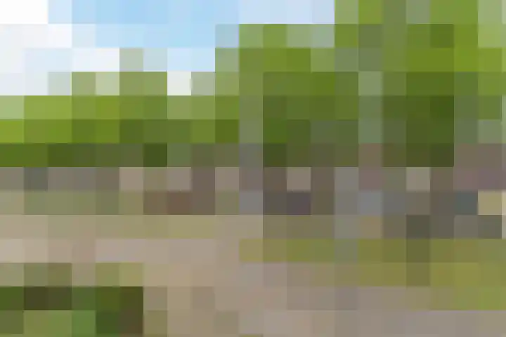 Bergdreef 83 Breda thumbnail 45