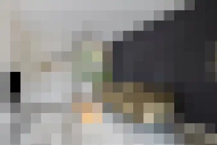 Bergen 3 Terheijden thumbnail 10