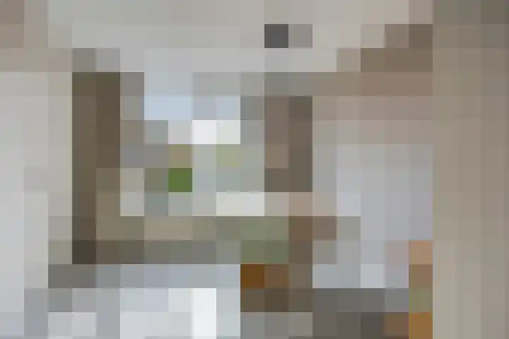 Bergen 3 Terheijden thumbnail 12
