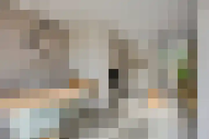 Bergen 3 Terheijden thumbnail 14