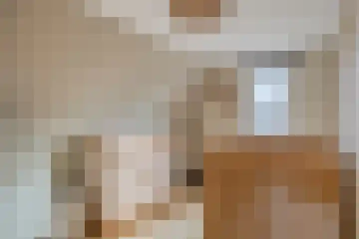 Bergen 3 Terheijden thumbnail 28