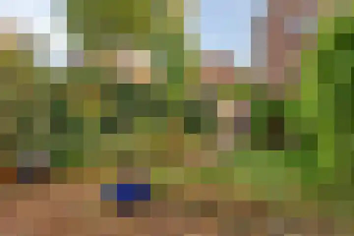 Bergen 3 Terheijden thumbnail 38