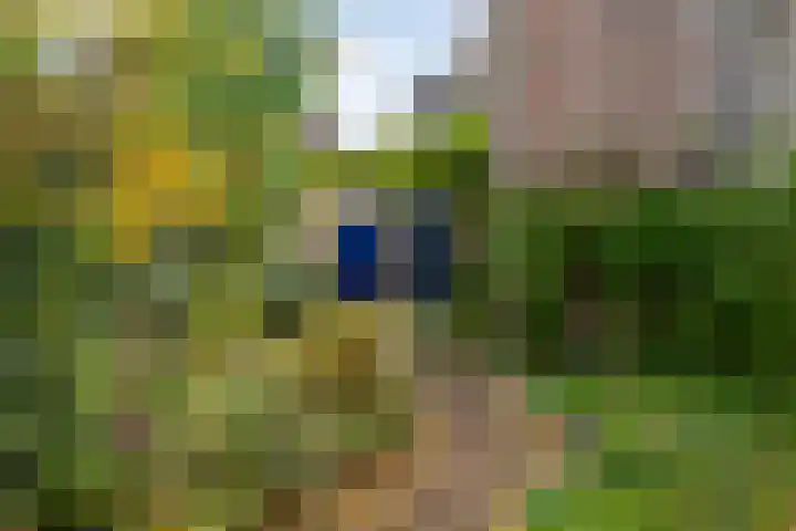 Bergen 3 Terheijden thumbnail 5