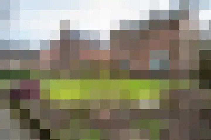 Bergerslag 27 Staphorst thumbnail 38
