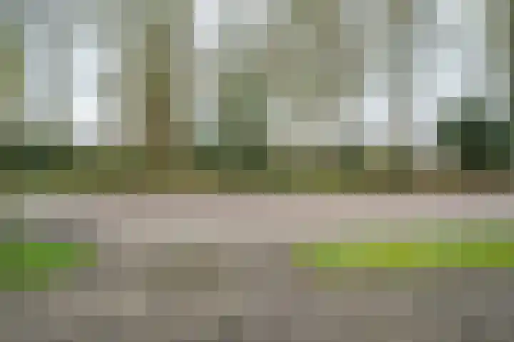 Bergerslag 27 Staphorst thumbnail 40