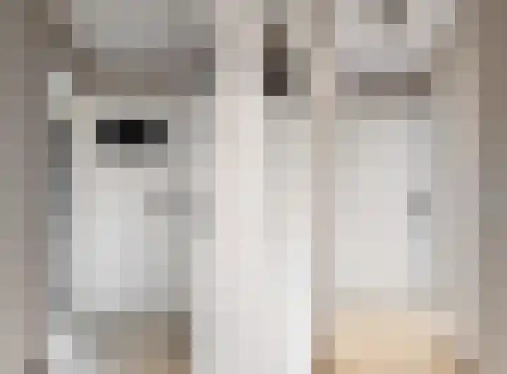 Bergerweg 13 Vlodrop thumbnail 20