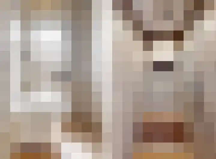 Bergerweg 13 Vlodrop thumbnail 24