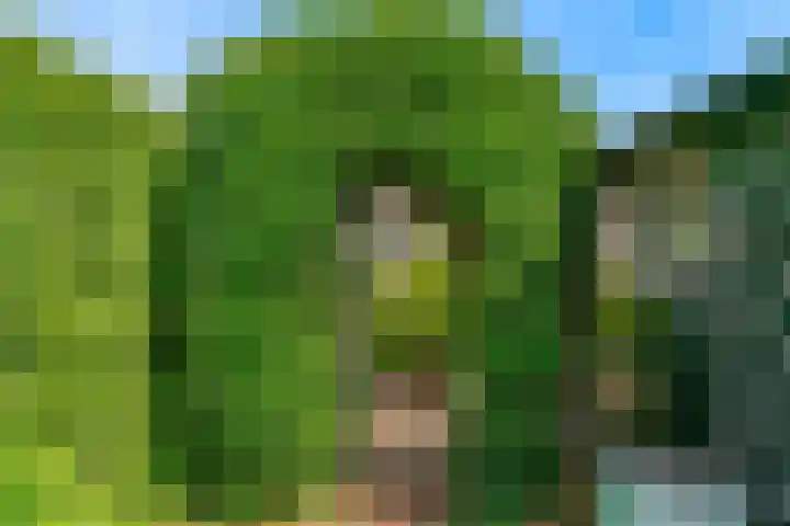 Bergerweg 13 Vlodrop thumbnail 33