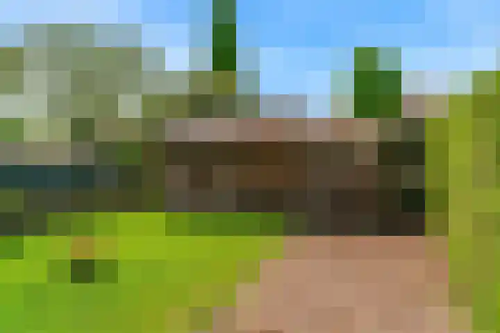 Bergerweg 13 Vlodrop thumbnail 34