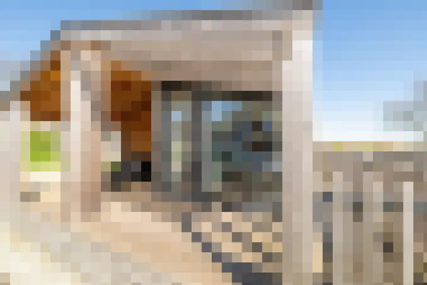 Berghem 1 Gulpen thumbnail 4