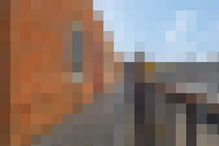 Berghemseweg 183 D Oss thumbnail 17