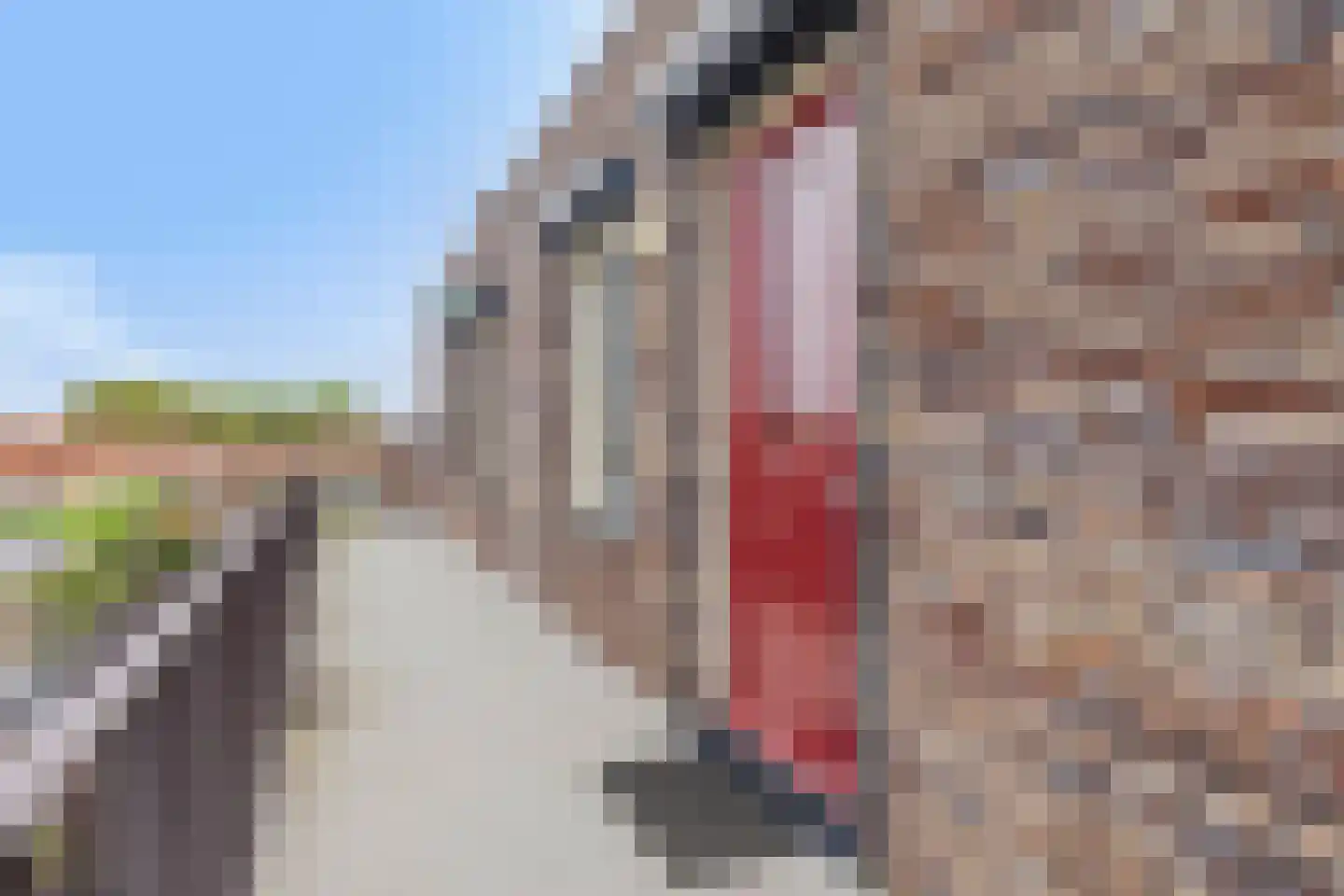 Berghemseweg 183 Oss thumbnail 10