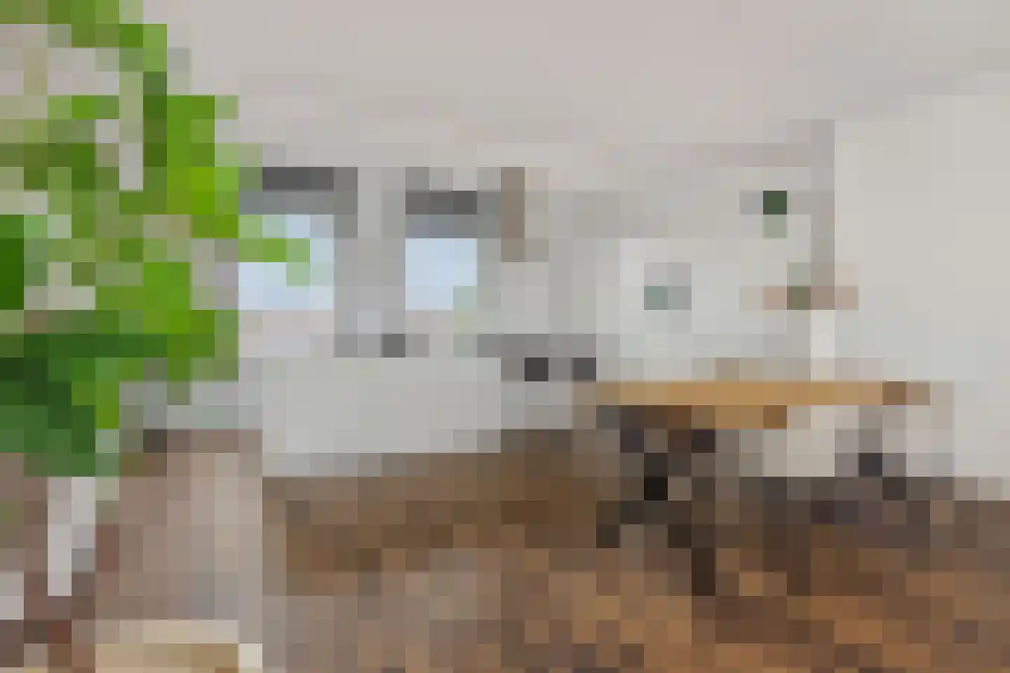 Berghemseweg 183 Oss thumbnail 13