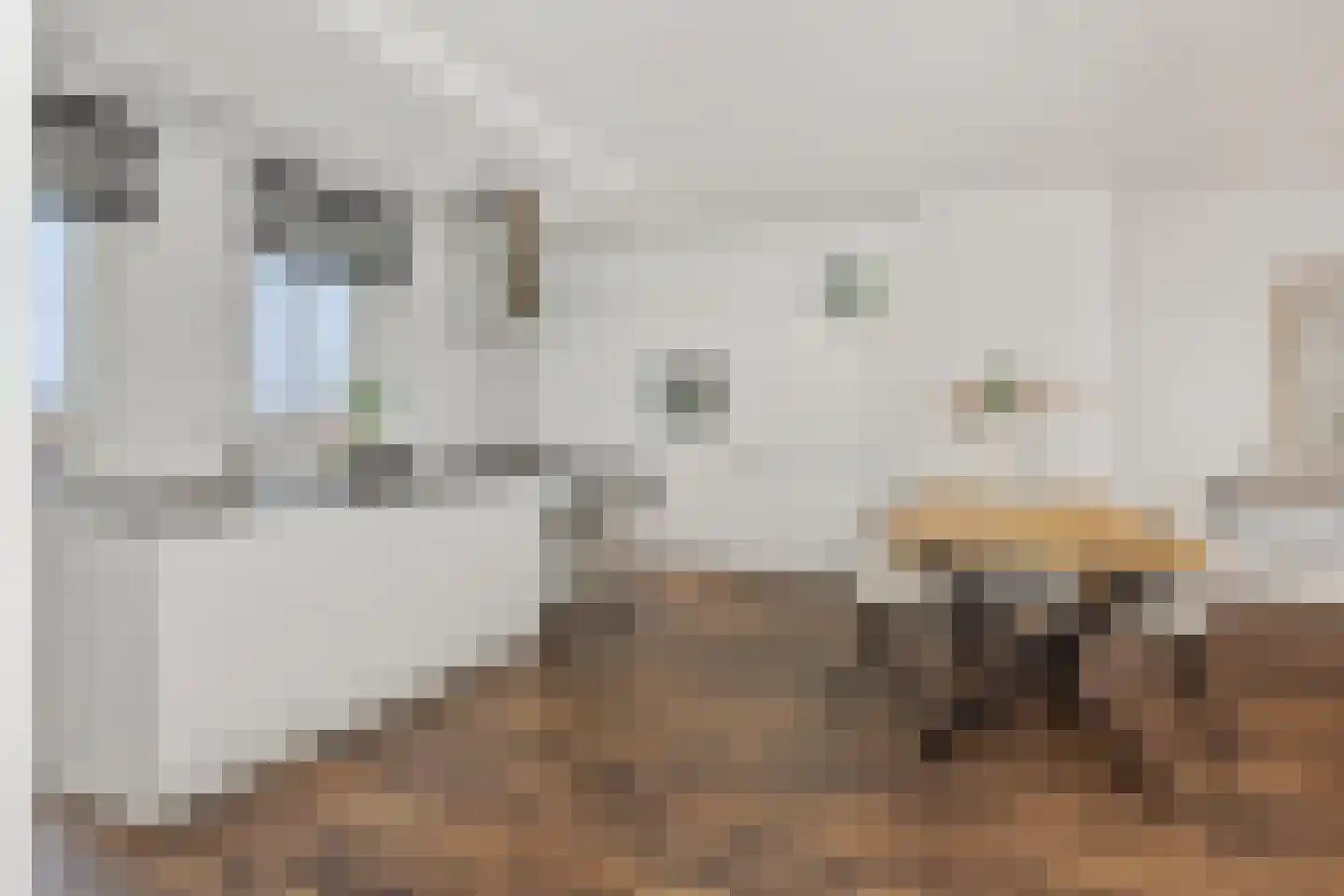 Berghemseweg 183 Oss thumbnail 14