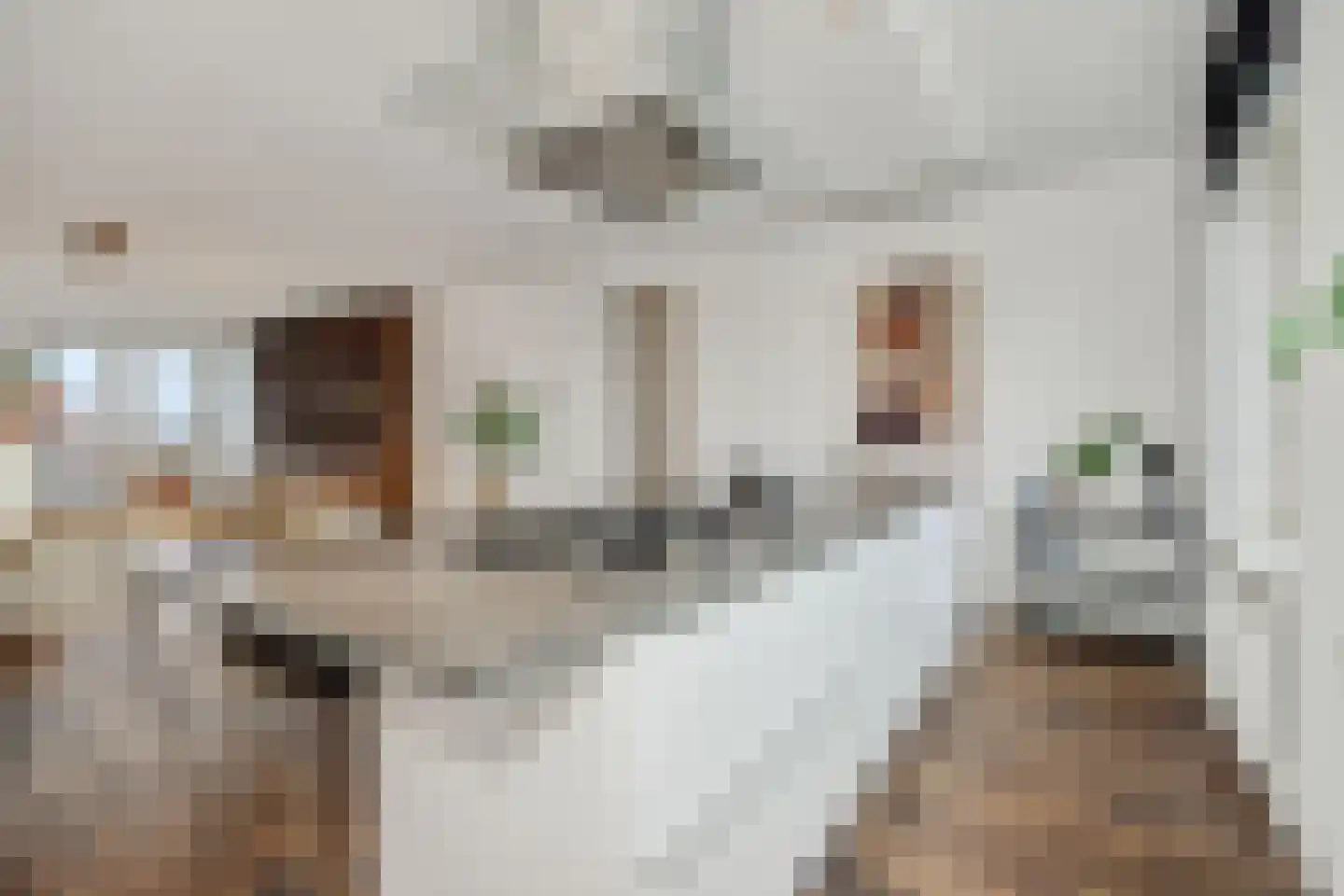 Berghemseweg 183 Oss thumbnail 15