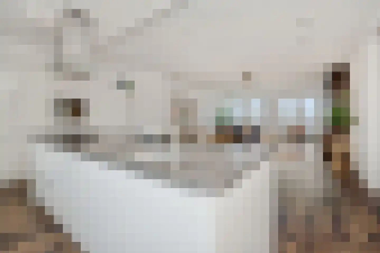 Berghemseweg 183 Oss thumbnail 16