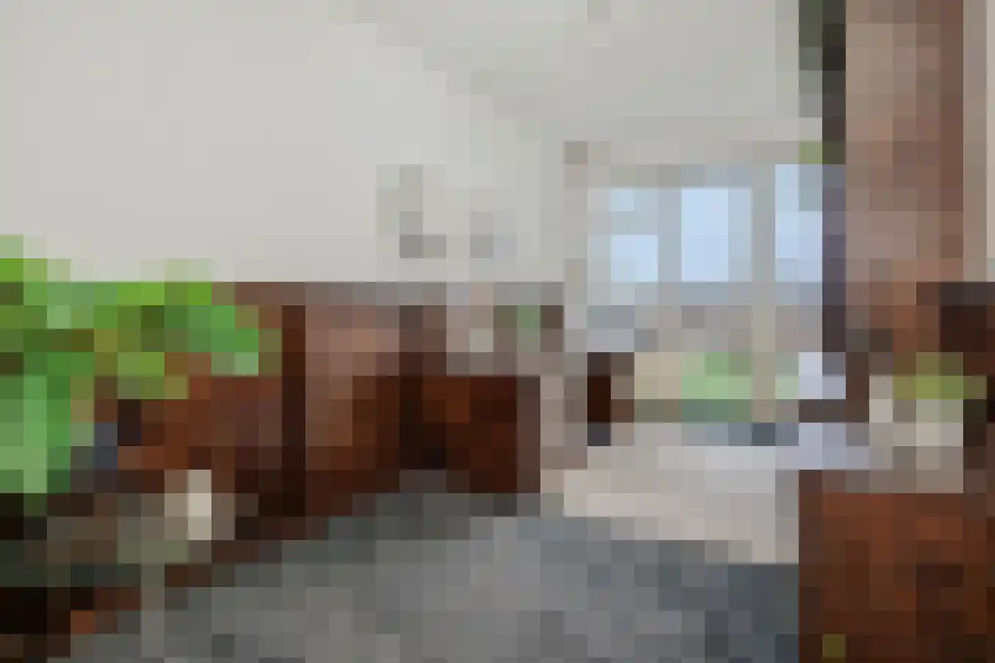 Berghemseweg 183 Oss thumbnail 36