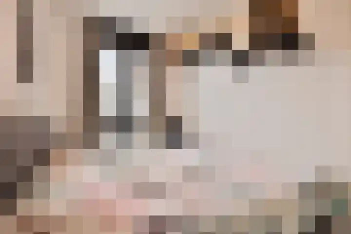 Berghemseweg 225 Oss thumbnail 16
