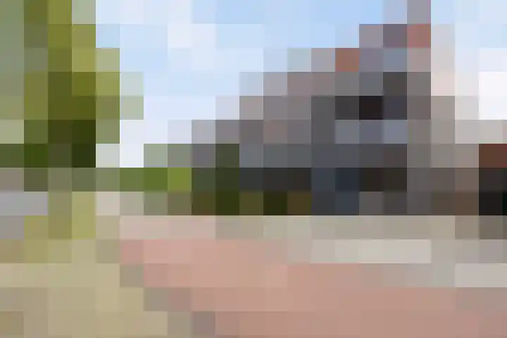 Berghemseweg 225 Oss thumbnail 27
