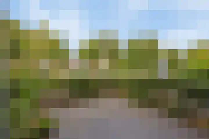 Berghemseweg 225 Oss thumbnail 31