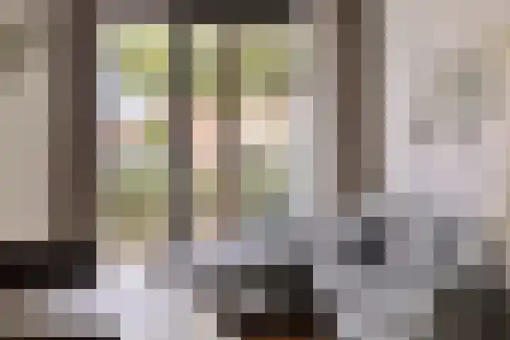 Berghemseweg 225 Oss thumbnail 5