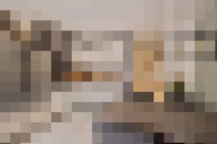 Berghemseweg 225 Oss thumbnail 9