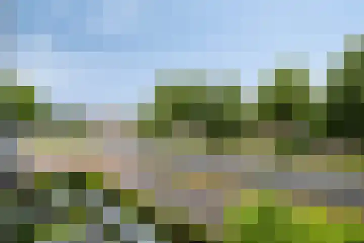 Berghemseweg 227 D Oss thumbnail 15