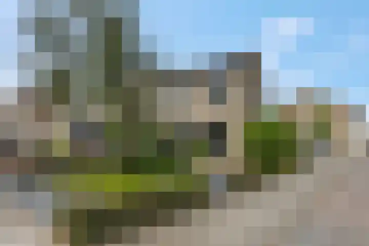 Berghemseweg 240 dans Oss