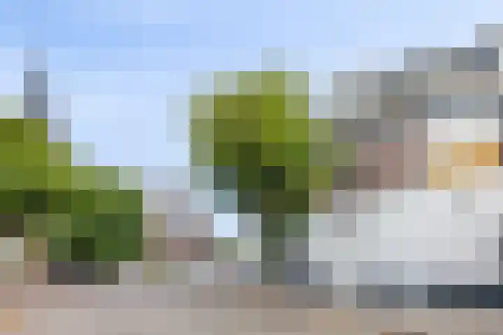 Berghemseweg 29 A Oss thumbnail 21